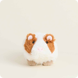 Warmies Junior Plushies