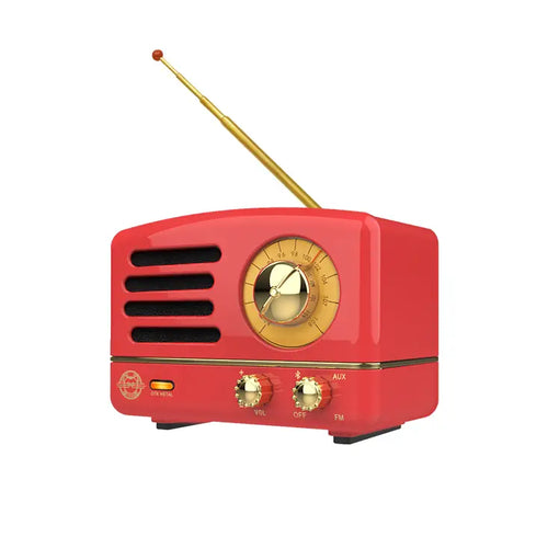 MUZEN Portable FM Bluetooth Speaker