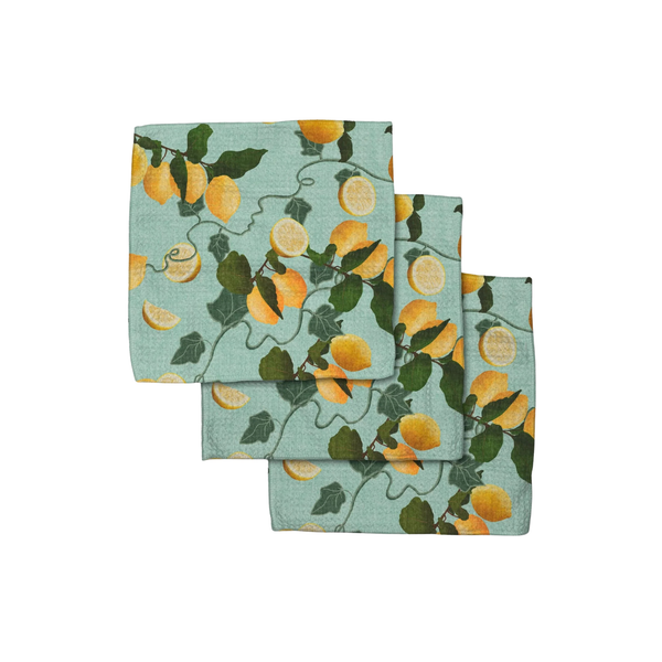 Geometry Dish Cloth Set of 3