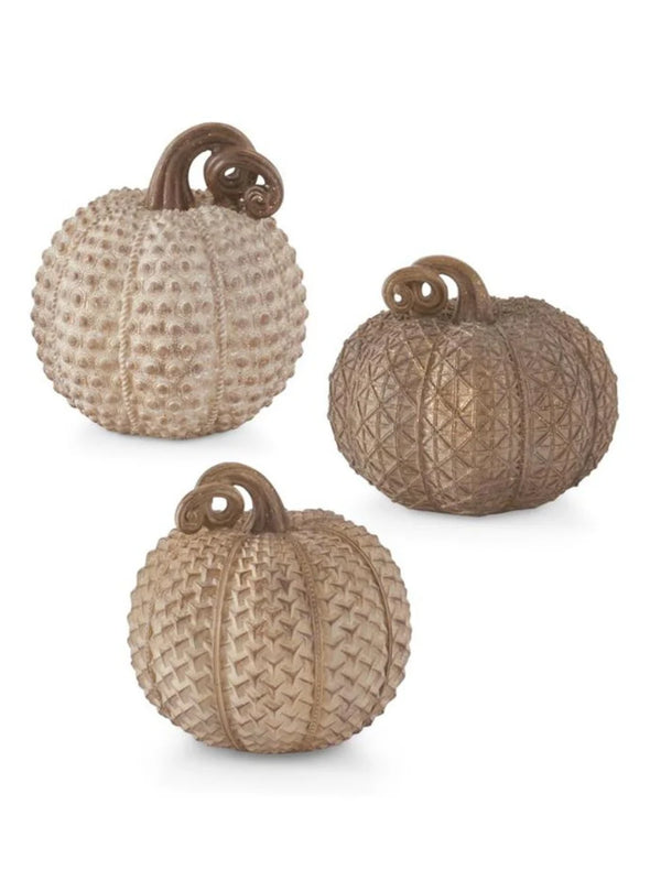 Beige Textured Pumpkins