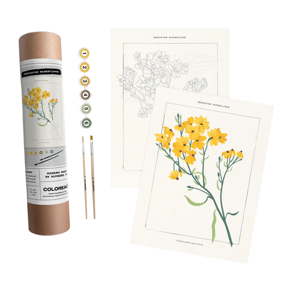 Coloready Paint by Number