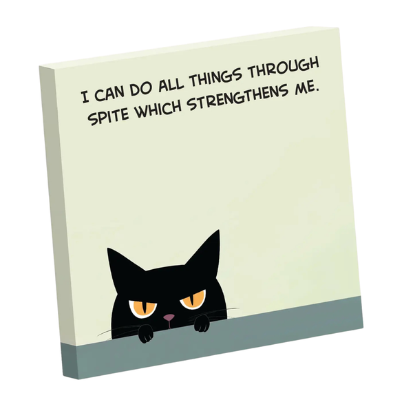 Sarcastic Sticky Notepad