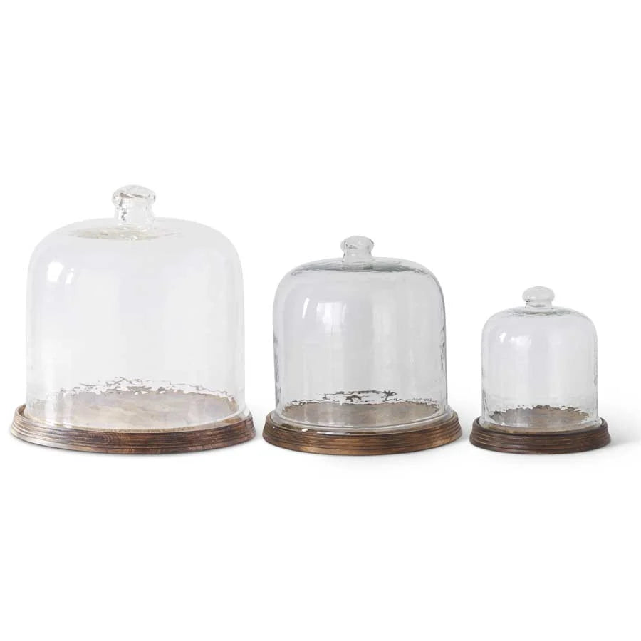Wavy Glass Cloche