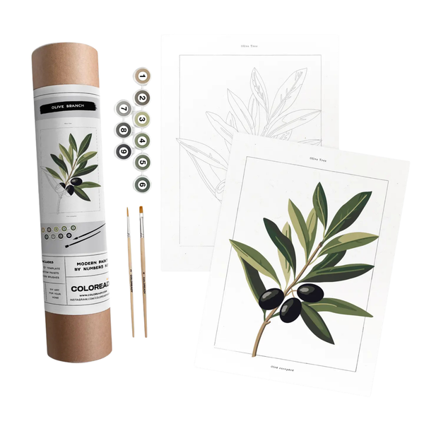 Coloready Paint by Number