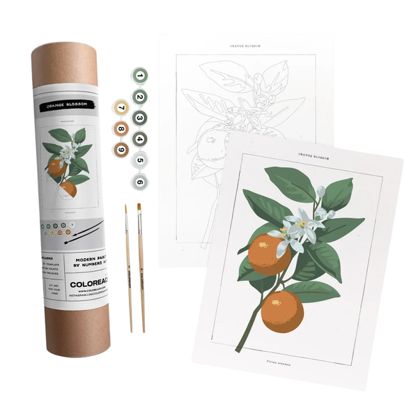 Coloready Paint by Number