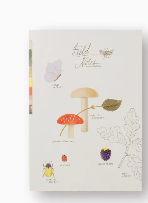 Forage Field Paperback Journals - Set of 3