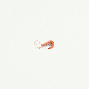 Miniature Watercolor Prints