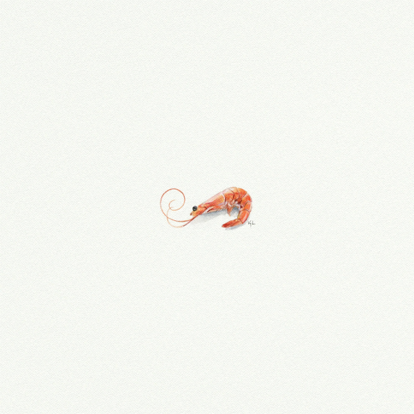 Miniature Watercolor Prints