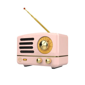 MUZEN Portable FM Bluetooth Speaker