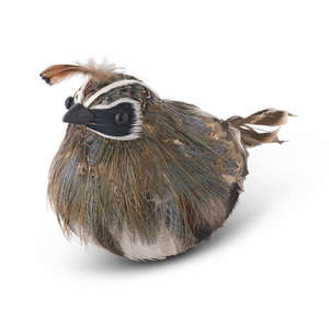 4.75in Feathered Quail