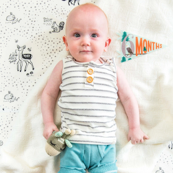 Little Camper Petit Milestone Pennants