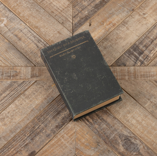 8.5" The Revolt of a Daughter Journal
