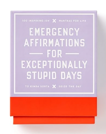 Emergency Affirmations for Exceptionally Stupid Days