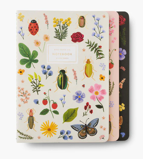 Curio Notebooks - Set of 3