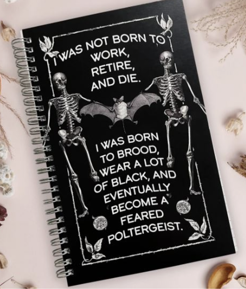 Feared Poltergeist Spiral Notebook