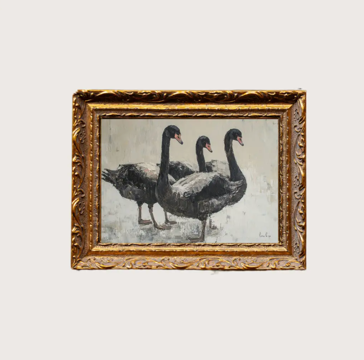 5 x 7 Black Swan Framed Art