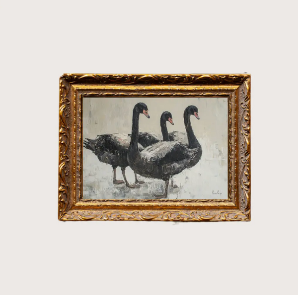 5 x 7 Black Swan Framed Art