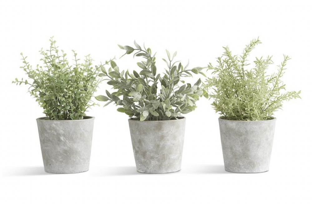 Faux Herb in Cement Pot
