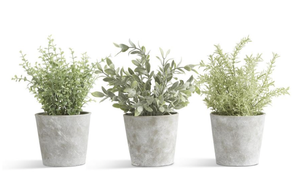 Faux Herb in Cement Pot