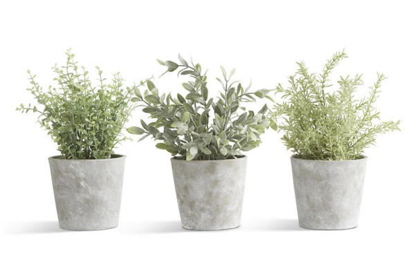 Faux Herb in Cement Pot