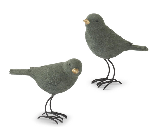 Green Velvet Bird