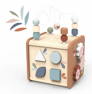 5 in 1 Puzzle Cube