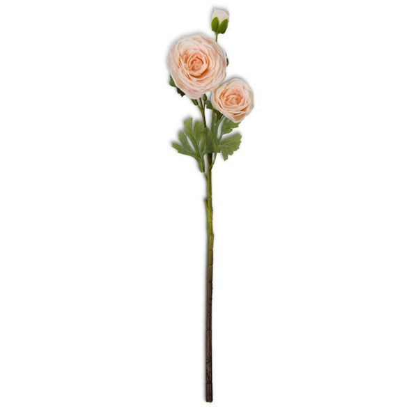 25" Peach Ranunculus Stem