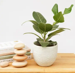 Wooden Stacking Stones