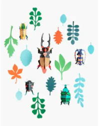 Wall of Curiosities - Beetle