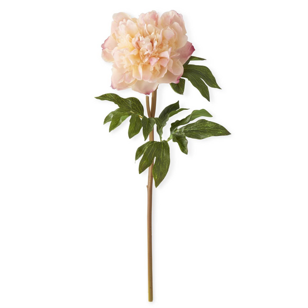 21.5" Coral Real Touch Peony Stem