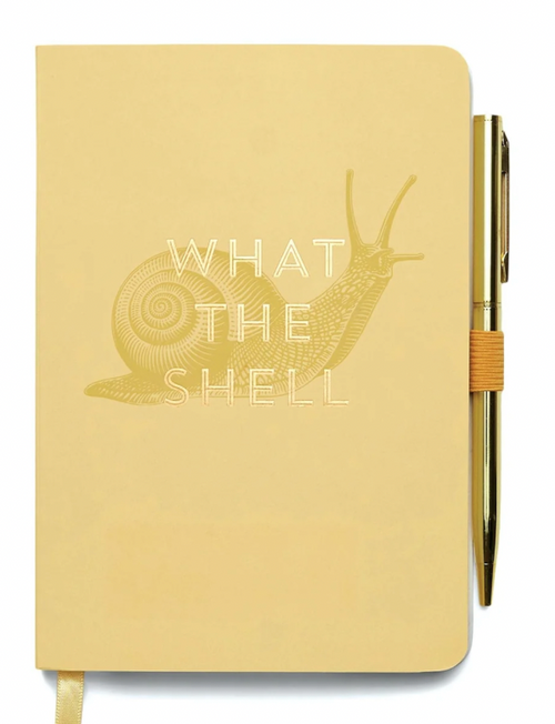 What the Shell Notebook