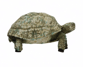 Resin Turtle