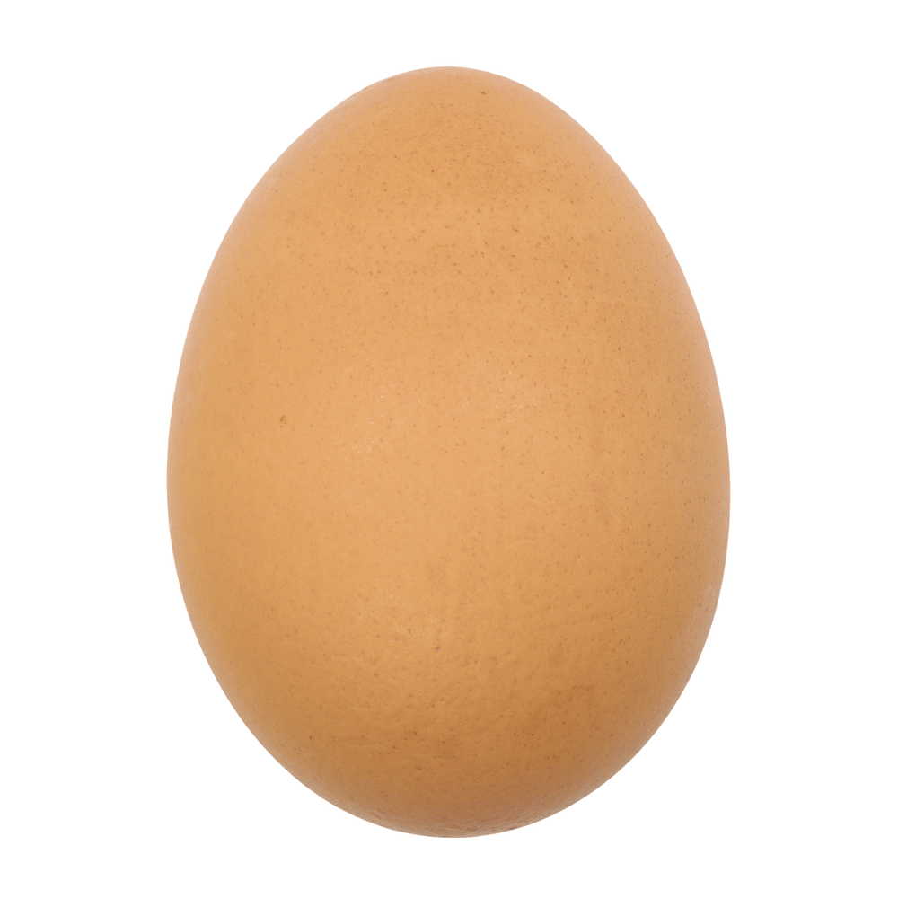 Egg Bouncy Ball