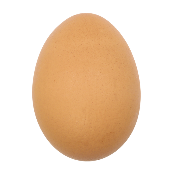 Egg Bouncy Ball