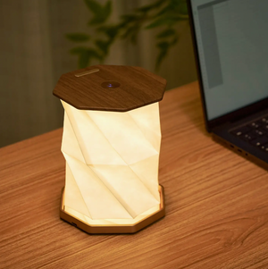 Twist Hexagon Light