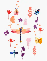 Wall of Curiosities - Insect