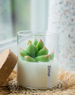 Succulent Soy Candle