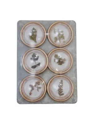 Resin Botanical Magnets