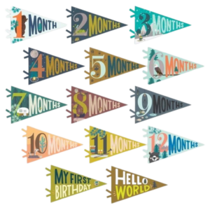 Little Camper Petit Milestone Pennants