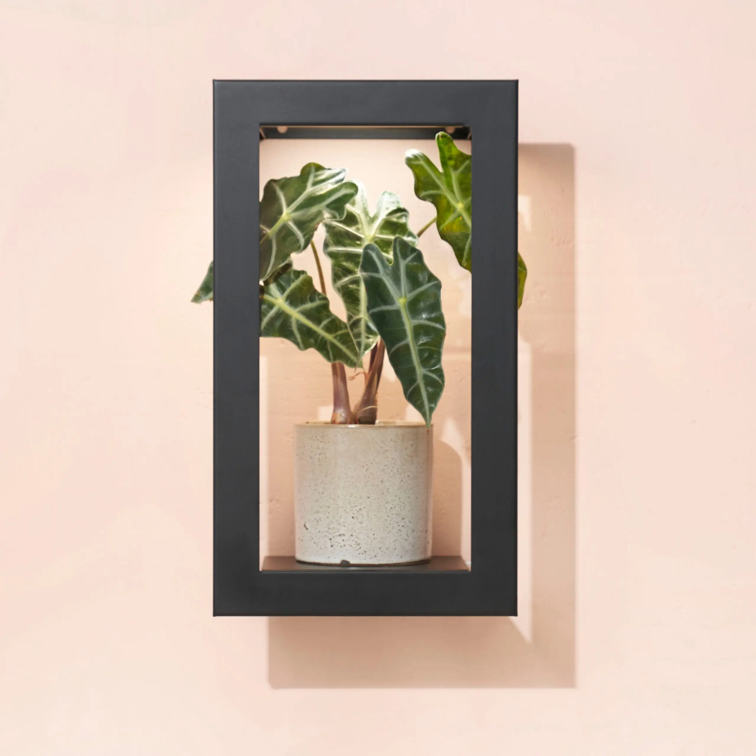 GrowFrame - Matte Black