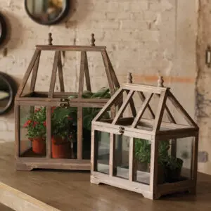 Wood + Glass Terrarium