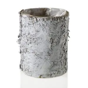 White Birch Planter