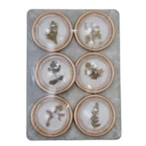 Resin Botanical Magnets