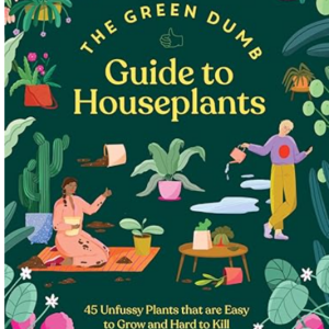 The Green Dumb: Guide to Houseplants