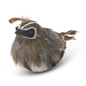 4.75in Feathered Quail