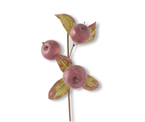 Burgundy Speckled Apple Pick