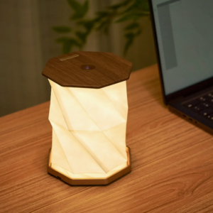 Twist Hexagon Light