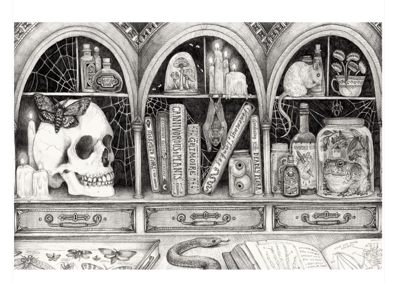 Cabinet of Curiosities Placemat