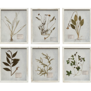Wood Framed Glass Wall Décor with Dried Botanicals