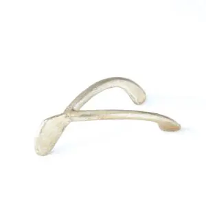 Wishbone Paperweight